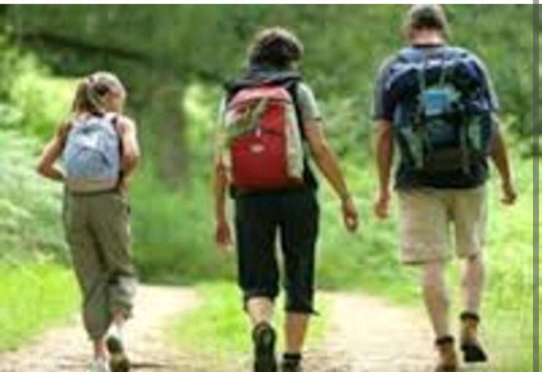 Les Chambres Touristique Julea Dienville Ngoại thất bức ảnh